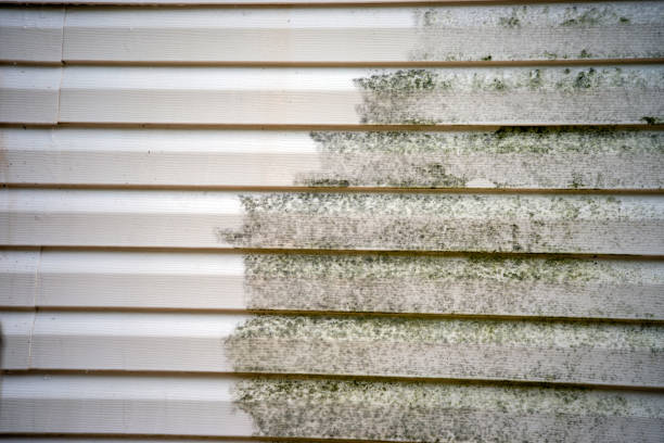 Demolition Debris Removal in Blue Springs, MO