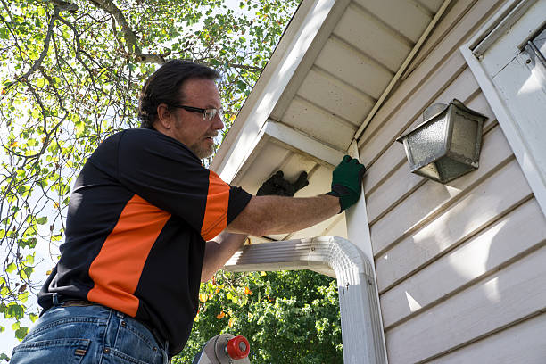 Best Moving and Downsizing Cleanouts  in Blue Springs, MO
